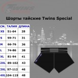 Шорты муай тай Twins Special (TBS-9993 black)